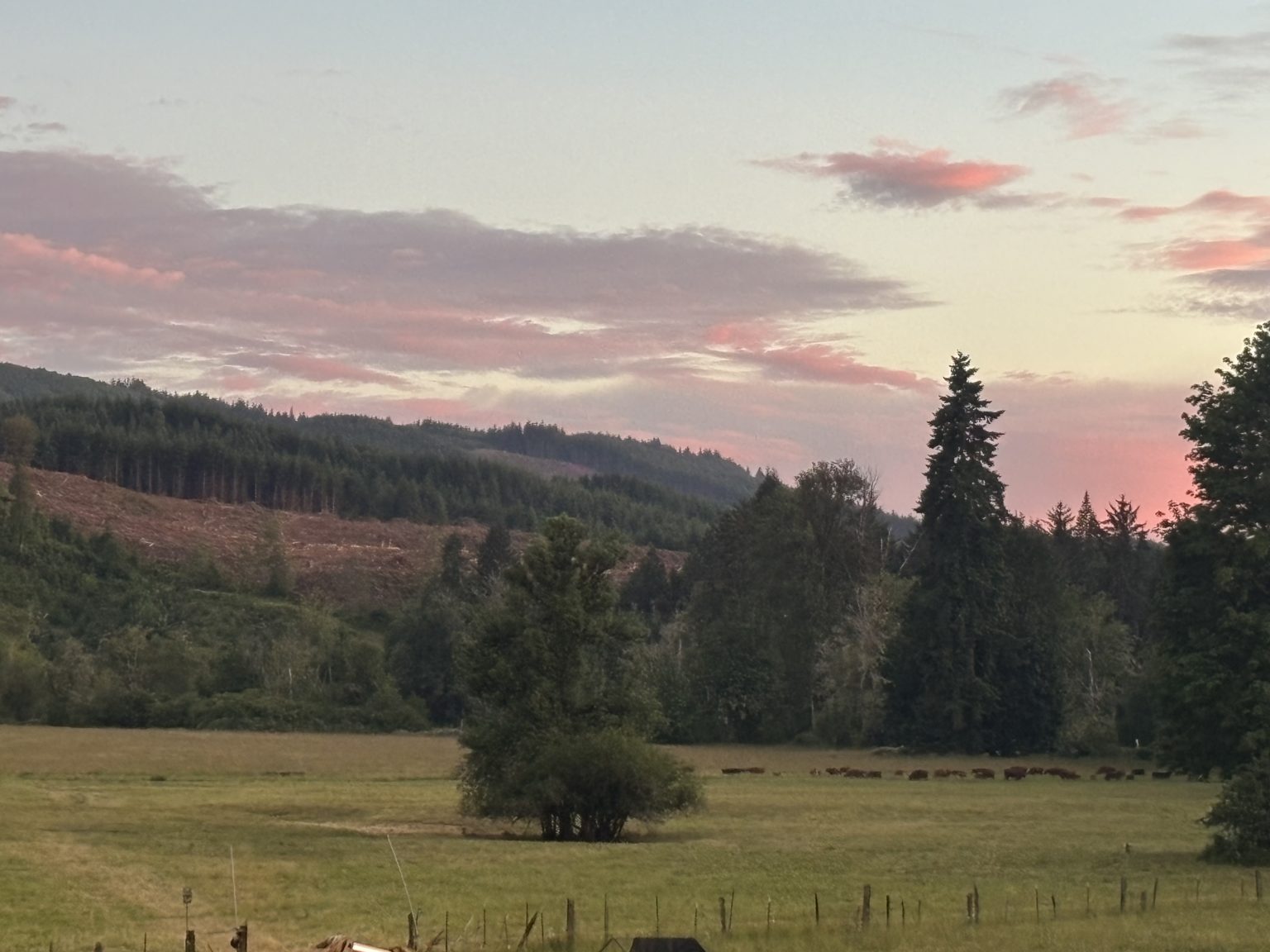 Southwest field sunset