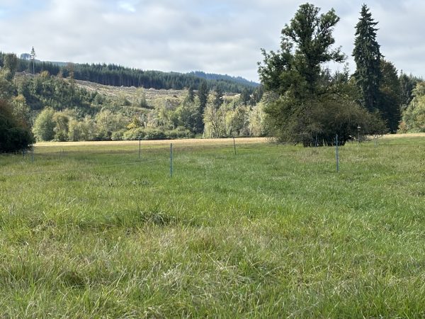 Future polywire paddocks set up