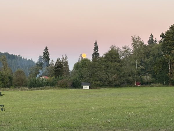 Farm in the wilderness